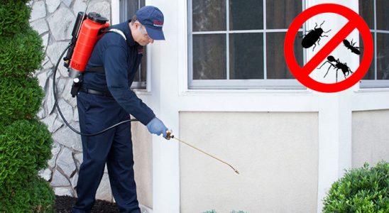 Mutki Karınca İlaçlama böcek ilaçlama ve haşere kontrolü — ilaclama-tr.com